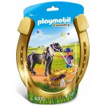 Playmobil 6970 Ozdobný Pony Hvězdička – Hledejceny.cz