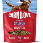 Carnilove Dog Crunchy Snack Salmon with Blueberries 200 g – Hledejceny.cz