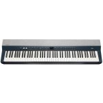 Kurzweil Ka P1 – Hledejceny.cz