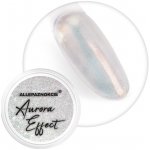 Allepaznokcie Aurora pigment 01 – Hledejceny.cz