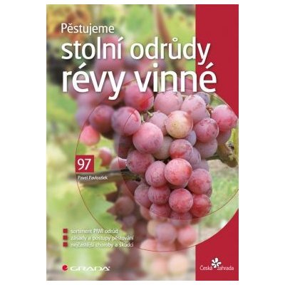 Pěstujeme stolní odrůdy révy vinné - Pavloušek Pavel