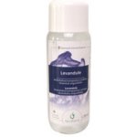 Chemoform saunová esence Levandule 250 ml – Hledejceny.cz