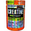 Extrifit Creatine Germany 300 g