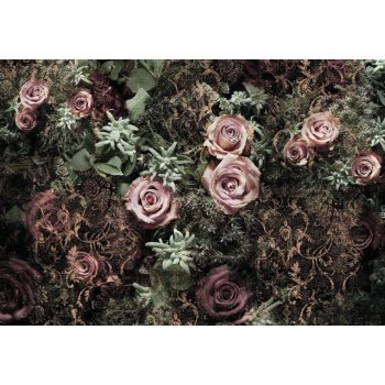 Komar 8-980 Fototapeta Samet růže 8 dílná Velvet rozměry 368 x 254 cm