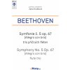 Noty a zpěvník Beethoven: Symfonie č. 5 op 67 (Osudová) - trio příčných fléten