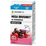 NatureVia Mega Brusinky se zlatobýlem kapsle pro zdraví močových cest 60 kapslí – Hledejceny.cz