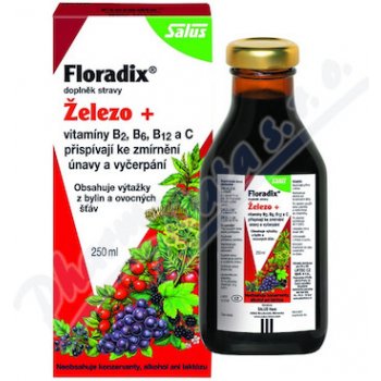 Salus Floradix sirup proti únavě 250 ml