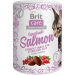 Brit Care Cat Snack Superfruits Salmon 100 g – Zboží Mobilmania