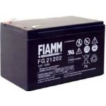 Fiamm FG21202 12V 12Ah 07957 – Zboží Mobilmania