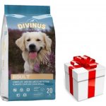 Divinus Adult Dospělý 20 kg – Hledejceny.cz