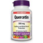 Webber Naturals Quercetin 500 mg 60 ks – Hledejceny.cz