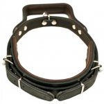 BAFPET Obojek kůže obrana s uchem 6,0 x 55 cm – Zboží Mobilmania