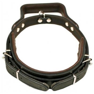 BAFPET Obojek kůže obrana s uchem 6,0 x 55 cm – Zboží Mobilmania