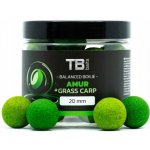 TB Baits Vyvážené boilies Balanced + Atraktor Orient Shrimp 100 g 20 mm – Hledejceny.cz