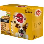 Pedigree Masový výběr se zeleninou ve šťávě 12 x 100 g – Hledejceny.cz