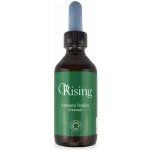 ORising Lotion Grasso Fytoesenciální lotion pro mastnou pokožku hlavy 100 ml – Hledejceny.cz
