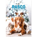 RASCO Premium adventní kalendář pro psy – Zboží Dáma