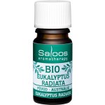 Saloos Esenciální olej Eukalyptus Radiata BIO 5 ml – Zboží Mobilmania