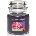 Yankee Candle Black Plum Blossom 411 g – Zbozi.Blesk.cz
