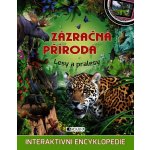 Zázračná příroda - Lesy a pralesy - neuveden – Zbozi.Blesk.cz