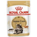 Royal Canin Maine Coon gravy 85 g – Sleviste.cz