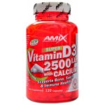 Amix Nutrition Vitamin D3 2500 U.I. s vápníkem 120 kapslí – Hledejceny.cz