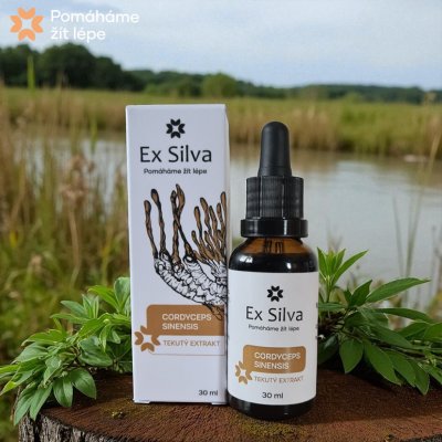 Ex Silva Cordyceps Mykologický dodavatel energie 30 ml – Hledejceny.cz