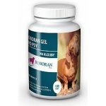 Univit Roboran Chondro pro psy plv 400 g – Hledejceny.cz