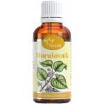 Serafin Morušovník tinktura z pupenů 50 ml – Hledejceny.cz