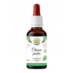 Salvia Paradise Chanca piedra AF tinktura 50 ml – Hledejceny.cz