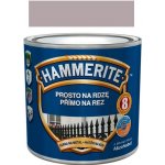 Akzo Nobel Hammerite přímo na rez 0,25L hladký stříbrný – Hledejceny.cz