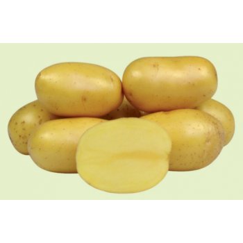Sadbové brambory Anuschka váha: 1kg
