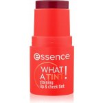 essence WHAT A TINT! multifunkční líčidlo na rty a tváře 20 Grapefruit Bliss 5 g – Hledejceny.cz