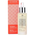 Gyada Linea Modellante Ricci vyživující suchý olej pro vlnité a kudrnaté vlasy 30 ml – Hledejceny.cz