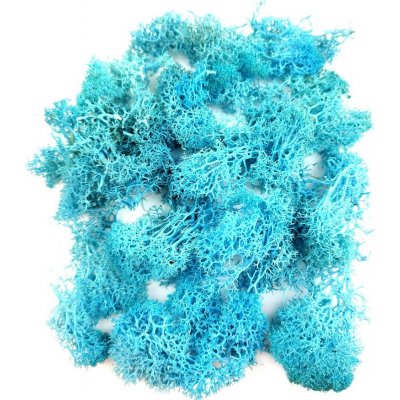 Stabilizovaný preparovaný mech lišejník do pryskyřice barevný 20 g Barva: Tyrkysová – Hledejceny.cz