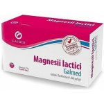 Galmed Magnesii lactici 0,5 g 100 tablet – Hledejceny.cz