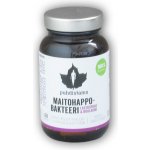 Puhdistamo Lactic Acid Bacteria Boulardii 60 kapslí – Hledejceny.cz