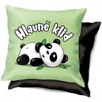 Nekupto Vtipný polštář Hlavně klid 30x30 – Zboží Mobilmania