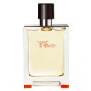 Hermès Terre D'Hermès toaletní voda pánská 100 ml