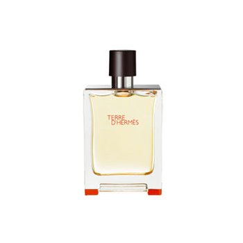 Hermès Terre D'Hermès toaletní voda pánská 100 ml