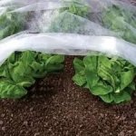 Geocover netkaná textilie 30g/m² 1,6 x 100m – Hledejceny.cz