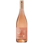 Terre di Rai Pinot Grigio BLUSH delle Venezie DOC 2023 12,5% 0,75 l (holá láhev) – Hledejceny.cz