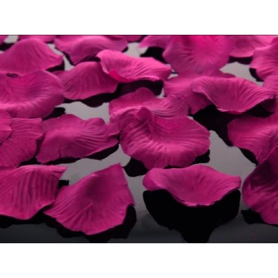 Okvětní plátky růží růžové tmavé 100 ks – Hledejceny.cz