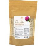 Day Spa Ostropestřec plody jemně drcené 300 g – Zbozi.Blesk.cz