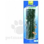 Tetra Hygrophila L 30 cm – Sleviste.cz