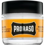 Proraso Moustache Wax vosk na vousy Wood & Spice 15 ml – Hledejceny.cz