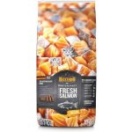 Belcando Mastercraft Fresh Salmon 10 kg – Sleviste.cz