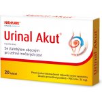 Walmark Idelyn Urinal Akut 20 tablet – Zboží Dáma
