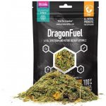 Arcadia EarthPro DragonFuel 125 g – Zbozi.Blesk.cz