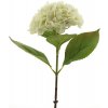 Květina Hortenzie - Hydrangea 'Pipa' krémová V52 cm (N945070)